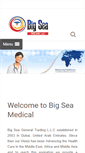 Mobile Screenshot of bigseamedical.com